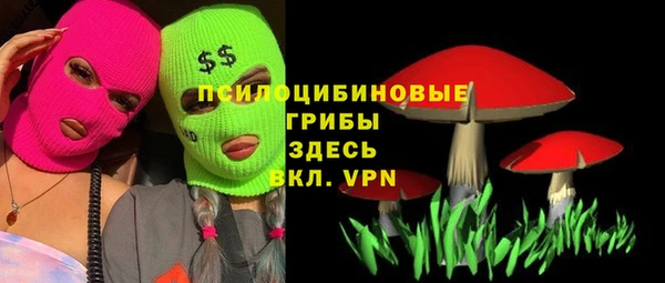 твердый Каменск-Шахтинский