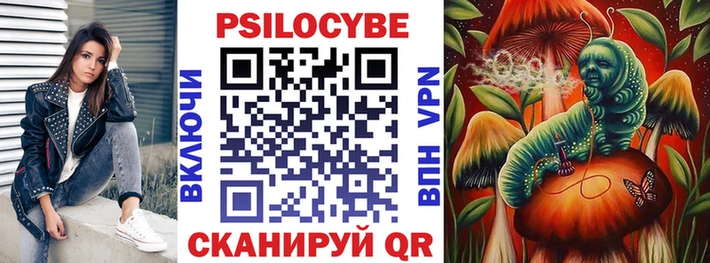 Купить где Ершов Псилоцибиновые грибы прущие грибы